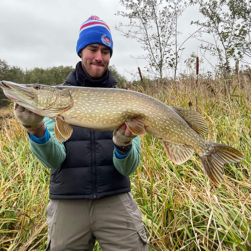 fångad fisk