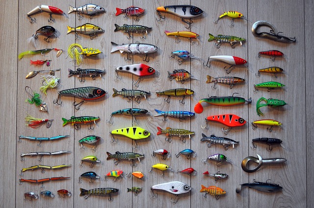 bait